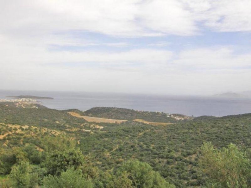 Agios Nikolaos 462 m² Bauland in der Gegend von Mardati mit uneingeschränktem Meerblick Grundstück kaufen